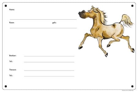 Comic Schild Pferd - Boxenschild Palomino