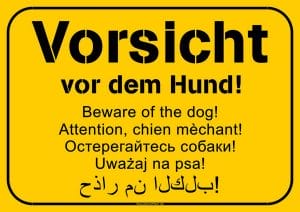 Schild Hund Vorsicht vor dem Hund mehrsprachig deutsch englisch französisch russisch polnisch arabisch