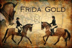 Frida Gold Fotocollage