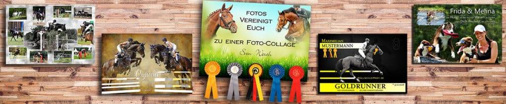 Foto-Collagen Pferde Hunde Katzen gestalten bestellen kaufen
als download, Poster oder auf Leinwand