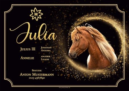 Boxenschild fürs Pferd Julia gestalten lassen