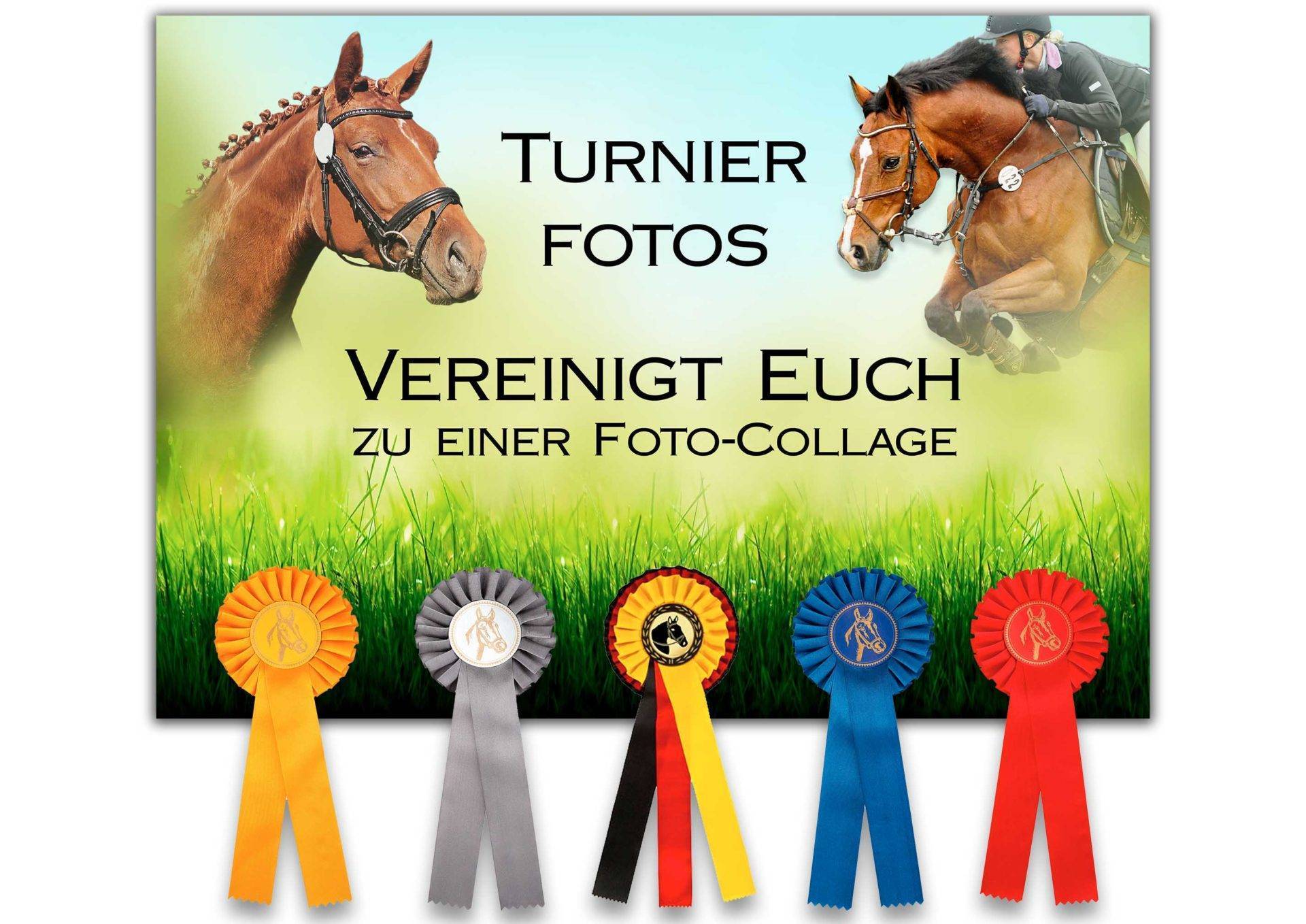 Turner Fotos Vernier Eich.