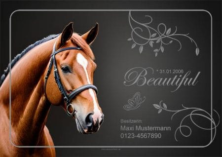Boxenschild Beautiful für Pferd und Reiter auch als Geschenkidee
