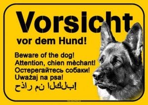 Ein Bild eines Deutschen Schäferhundes mit dem Hundeschild | Vorsicht vor dem Hund – mehrsprachig – gelb.
